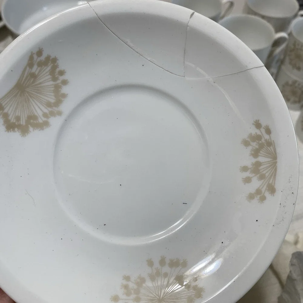 Arzberg stunning vintage